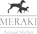 Meraki Animal Shelter